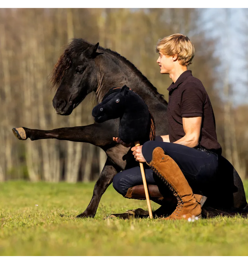 Hobby Horse QHP Jesse Drent Antares