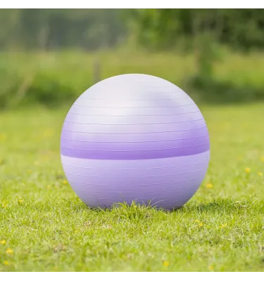 Piłka dla konia do zabawy QHP 75cm