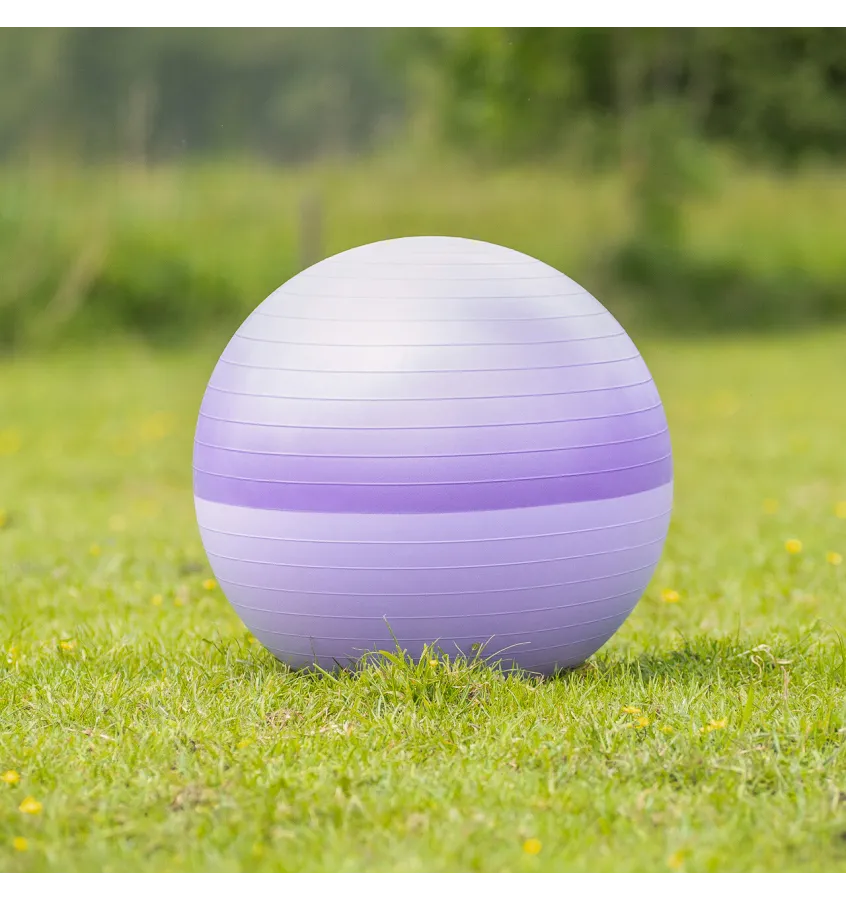 Piłka dla konia do zabawy QHP 75cm
