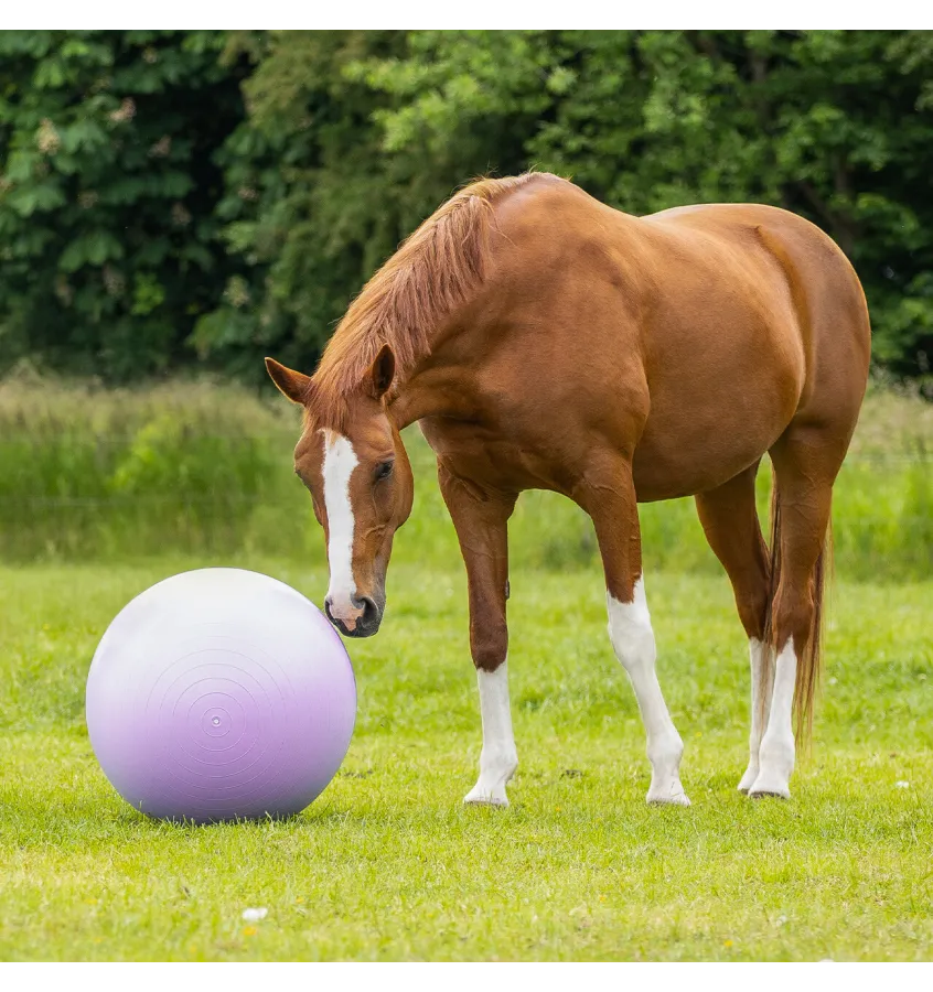 Piłka dla konia do zabawy QHP 75cm