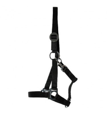 Kantar Harmony szary cob