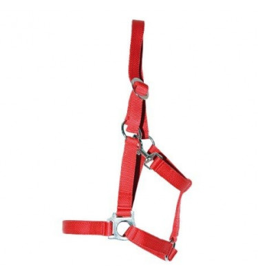 Kantar Harmony szary cob