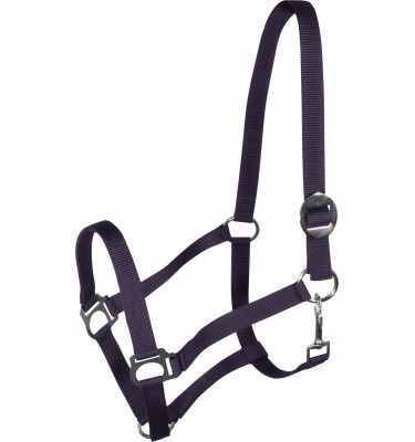 Kantar Harmony szary cob