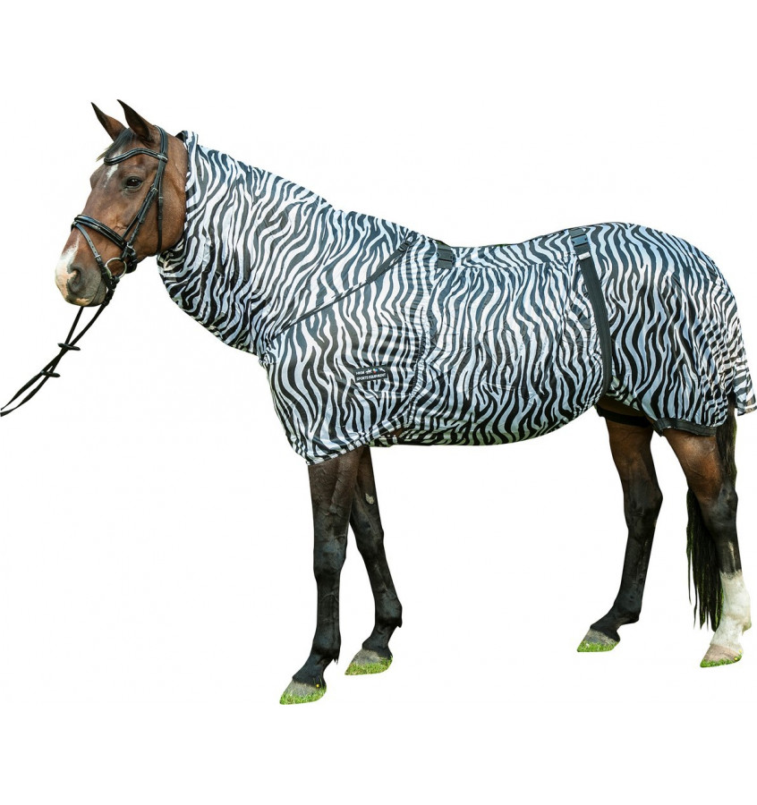 Derka siatkowa Zebra