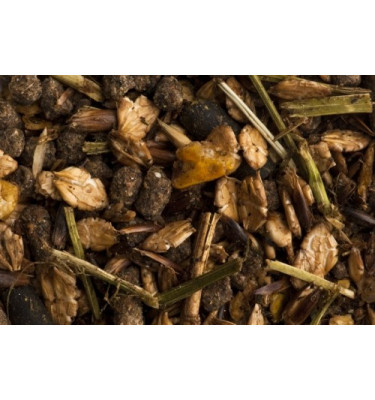 International Sports Endurance 20 kg