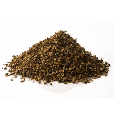 Champions Claim 20 kg