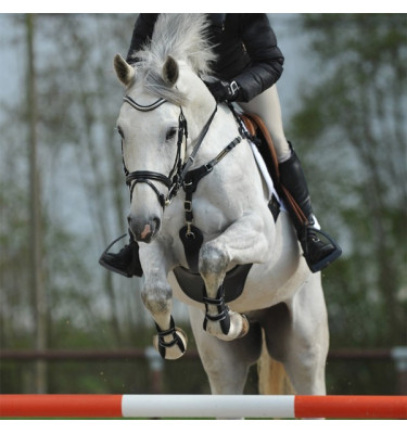 Popręg z napierśnikiem Secure X