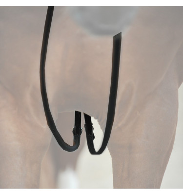 Czarna wodza parciana