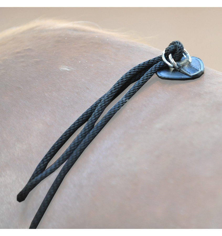 Linka do lonżowania