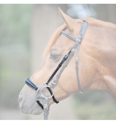 Nachrapnik z dźwignią