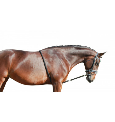 System do lonżowania