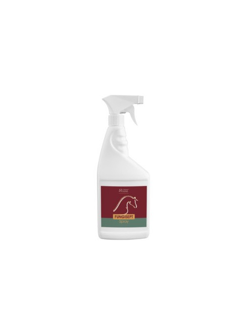 Spray przeciw grzybicy FUNGISEPT SPRAY 500 ml