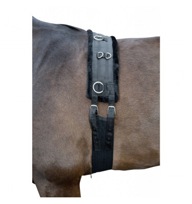 Pas do lonżowania Teddy 