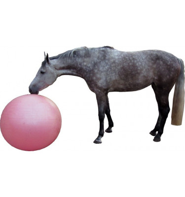 Duża piłka dla konia
