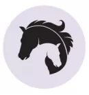 Pasze dla koni hodowlanych