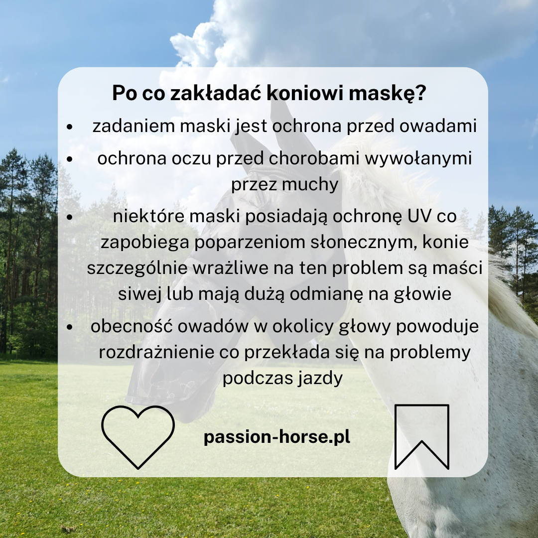 maski dla koni