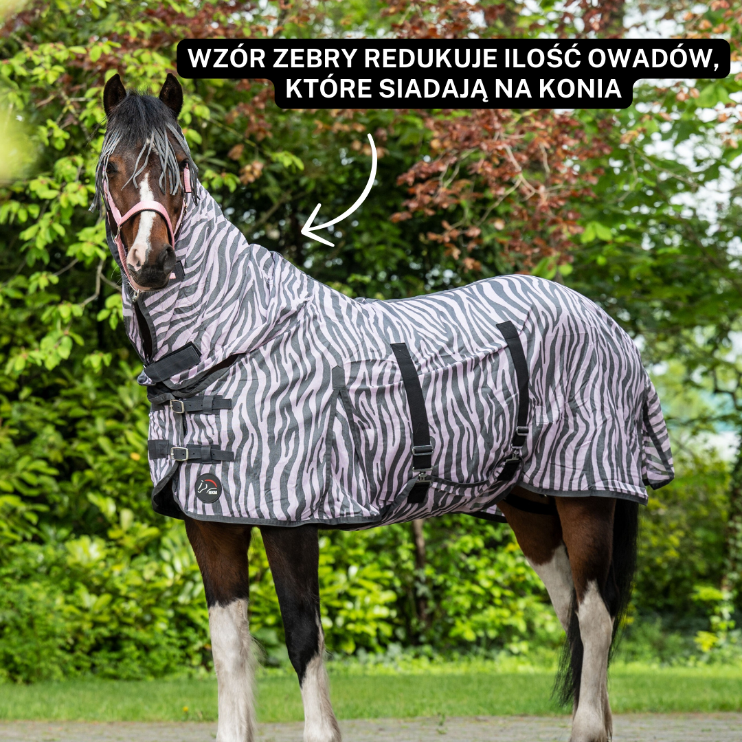 derka dla konia zebra