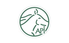 API