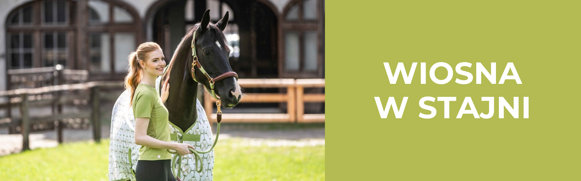 Wiosna w stajni
