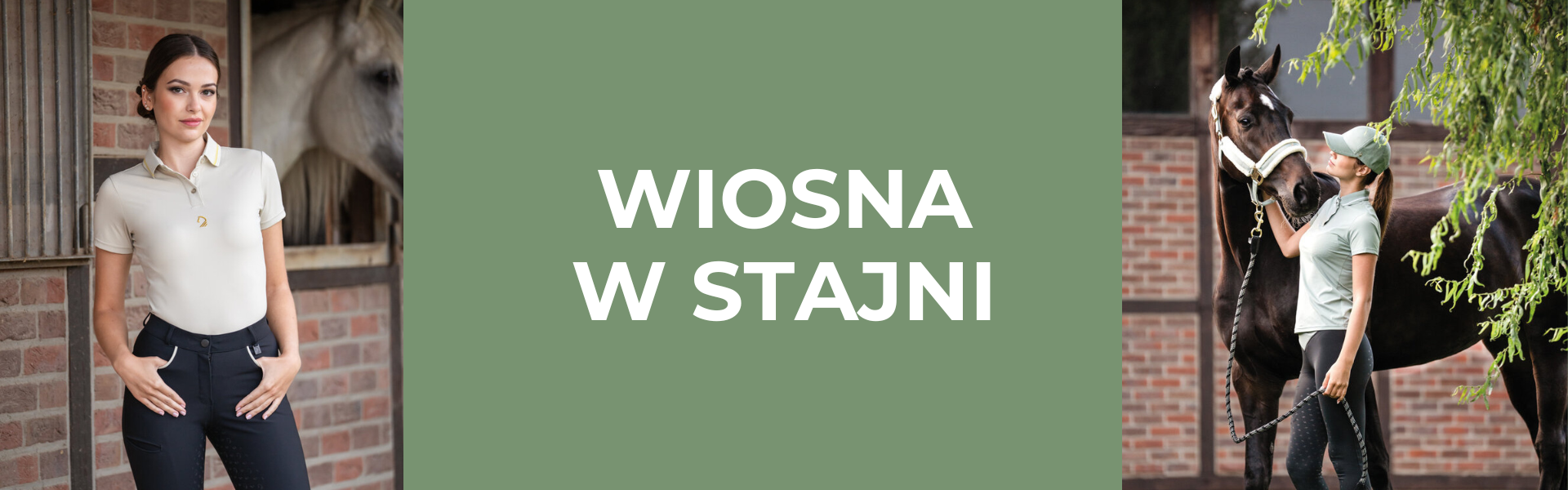 Przygotuj swojego konia na wiosnę – wybierz niezbędne produkty i zadbaj o jego komfort w nowym sezonie!