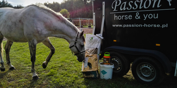 Czy mój koń potrzebuje dodatkowej paszy?