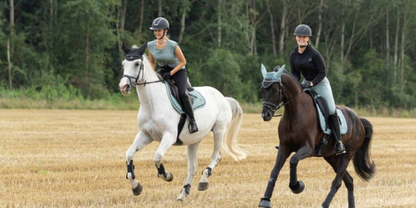 Ubranie do jazdy konnej na lato