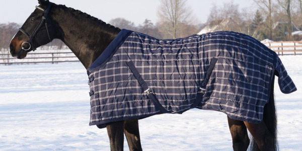 Derkowanie koni zimą: jak wybrać i dbać o derkę?