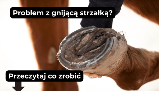 Problemy ze strzałkami
