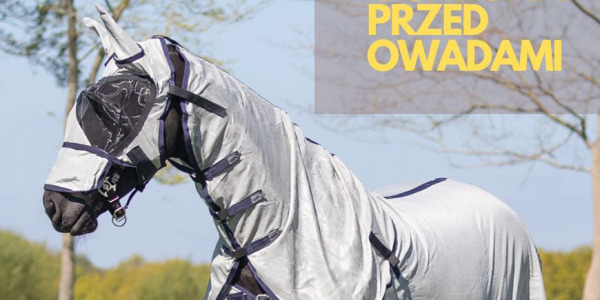 Jak skutecznie chronić konia przed owadami?