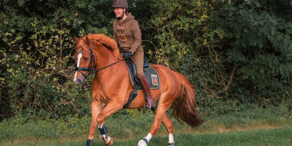 Co wziąć pod uwagę podczas wyboru bryczesów jeździeckich?